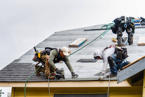 Professional Storm Damage Roof Repair technician working in Tate, GA